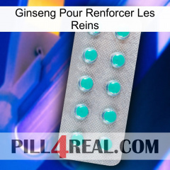Ginseng For Reinforcing Kidney 28